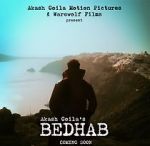 Watch Bedhab Megavideo