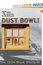 Watch Dust Bowl!: The 1930s Black Blizzards Megavideo