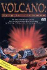 Watch Volcano: Fire on the Mountain Megavideo