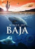 Watch Kings of Baja Megavideo