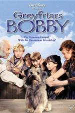 Watch Greyfriars Bobby The True Story of a Dog Megavideo