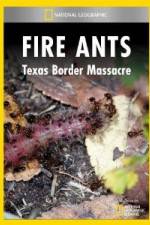Watch National Geographic Fire Ants: Texas Border Massacre Megavideo