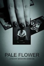 Watch Pale Flower Megavideo