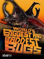 Watch World\'s Biggest and Baddest Bugs Megavideo