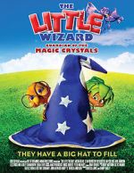 Watch The Little Wizard: Guardian of the Magic Crystals Megavideo