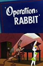 Watch Operation: Rabbit Megavideo