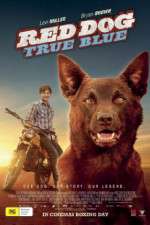 Watch Red Dog True Blue Megavideo