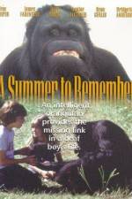 Watch A Summer to Remember Megavideo