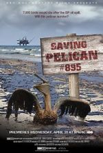 Watch Saving Pelican 895 (Short 2011) Megavideo