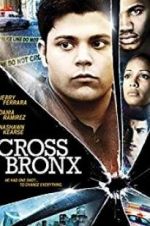 Watch Cross Bronx Megavideo