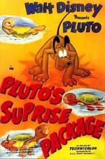 Watch Pluto\'s Surprise Package Megavideo