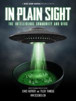 Watch In Plain Sight: The Intelligence Community and UFOs Megavideo