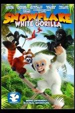 Watch Snowflake, the White Gorilla Megavideo