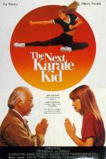 Watch The Next Karate Kid Megavideo