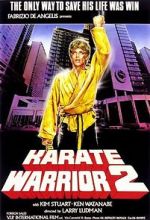 Watch Karate Warrior 2 Megavideo