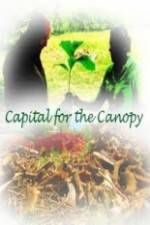 Watch Capital for the Canopy Megavideo