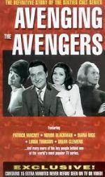 Watch Avenging the Avengers Megavideo