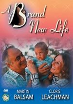 Watch A Brand New Life Megavideo