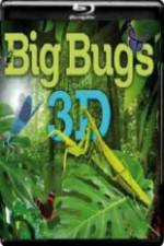 Watch Big Bugs in 3D Megavideo