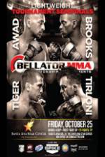 Watch Bellator 105 Awad vs. Brooks Megavideo