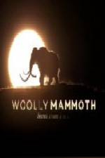 Watch Woolly Mammoth Secrets from the Ice Megavideo