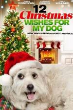 Watch 12 Christmas Wishes For My Dog Megavideo
