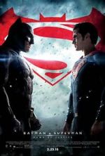 Watch Batman vs Superman: The Best Superpower Ever Megavideo