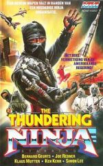 Watch Thundering Ninja Megavideo
