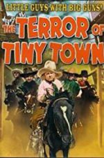 Watch The Terror of Tiny Town Megavideo