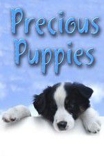 Watch Precious Puppies Megavideo