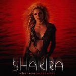 Watch Shakira: Whenever, Wherever Megavideo