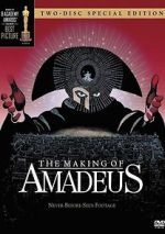 Watch The Making of \'Amadeus\' Megavideo