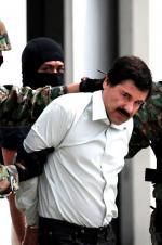 Watch The Rise and Fall of El Chapo Megavideo