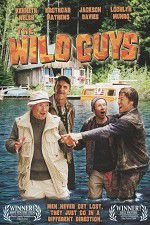 Watch The Wild Guys Megavideo