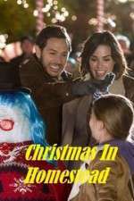 Watch Christmas in Homestead Megavideo