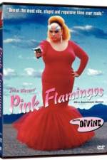 Watch Pink Flamingos Megavideo