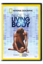 Watch National Geographic The Incredible Human Body Megavideo