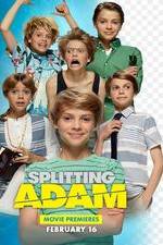 Watch Splitting Adam Megavideo