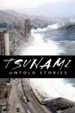 Watch Tsunami: Untold Stories Megavideo