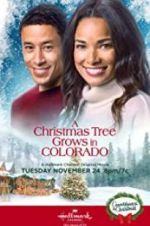 Watch A Christmas Tree Grows in Colorado Megavideo