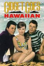 Watch Gidget Goes Hawaiian Megavideo