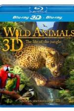 Watch Wild Animals - The Life of the Jungle 3D Megavideo