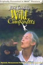 Watch Jane Goodall's Wild Chimpanzees Megavideo