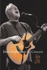 Watch David Gilmour in Concert - Live at Robert Wyatt's Meltdown Megavideo