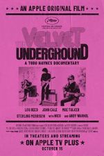 Watch The Velvet Underground Megavideo