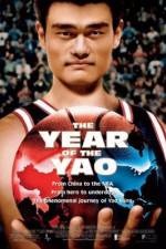 Watch The Year of the Yao Megavideo