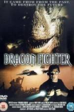 Watch Dragon Fighter Megavideo