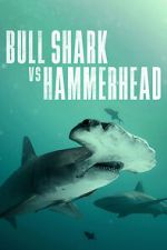 Watch Bull Shark vs Hammerhead Megavideo