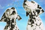 Watch 101 Dalmatians Sing Along Megavideo