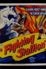 Watch The Fighting Stallion Megavideo